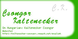 csongor kaltenecker business card